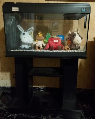 acquario