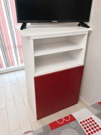 Mobile TV 