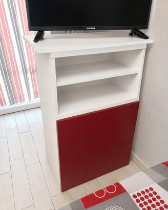 Mobile TV 