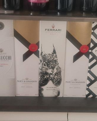 Moet Schandon da collezione