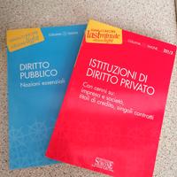 DIRITTO PUBBLICO - DIRITTO PRIVATO 