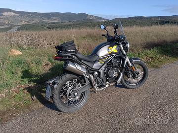 Voge AC 525 X Scrambler