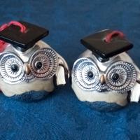 COPPIA di Gufetti In Resina Argentata scaramantico