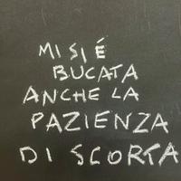 Trasloco facile? Te lo organizzo io