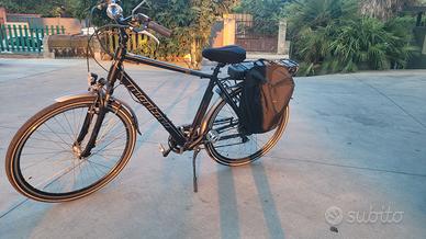 Bici elettrica Montana da uomo