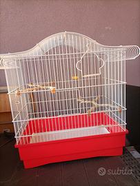 Gabbia per uccellini + accessori 