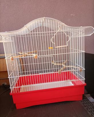 Gabbia per uccellini + accessori 