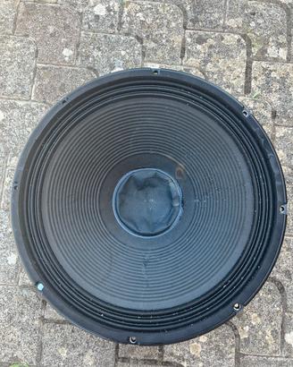 Woofer Subwoofer Professionale Originale
