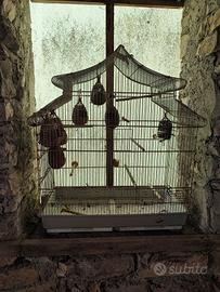 gabbia per uccelli 