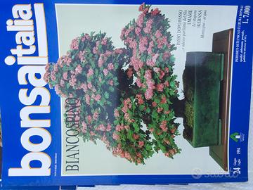 42riviste"BONSAI ITALIA ARTE E NATURA" specializ.
