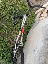 Bici da Trial