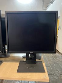 Monitor Dell P1917S 19”