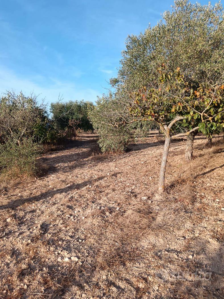 Terreno Agricolo Crispiano [Cod. rif 3386097VCG] - Altro