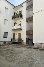 Vendita appartamento