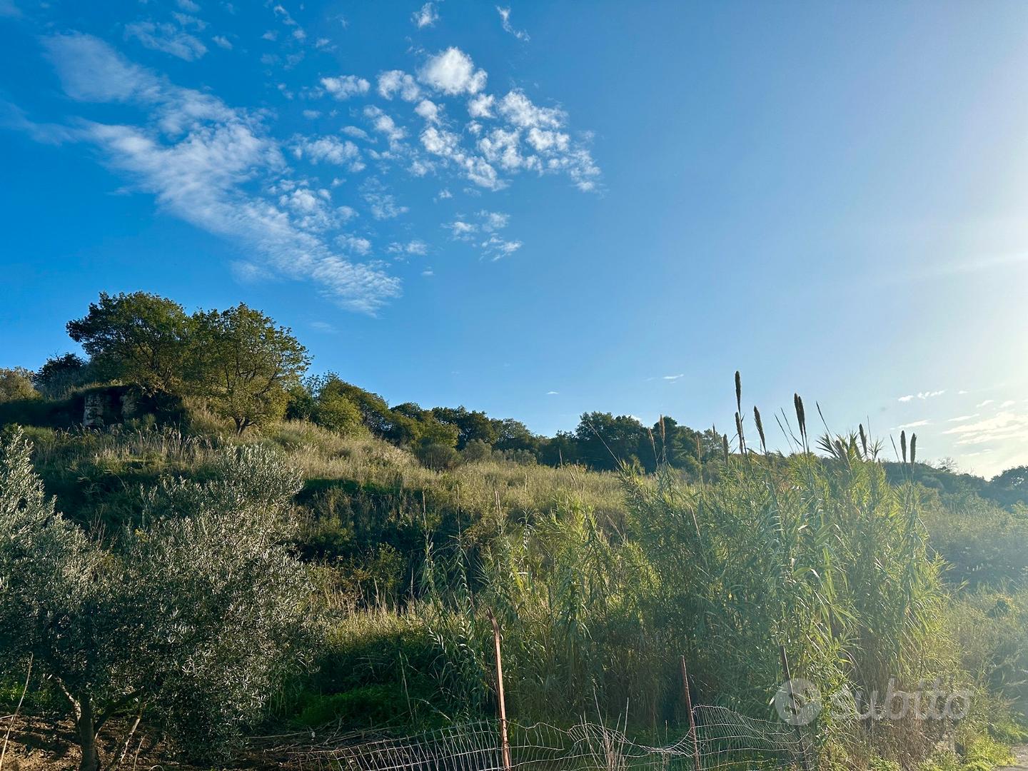 Terreno agricolo a Partinico, Contrada Valguarnera - Vista 4
