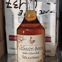 Bottiglia di Calvados Morin selection
