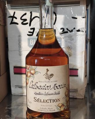 Bottiglia di Calvados Morin selection