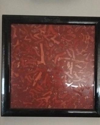 quadro di corallo 