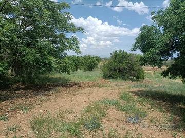 Rif.3650TG16324| terreno agricolo caltanissetta