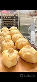 Panettiere