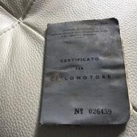 Certificato Mosquito