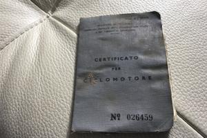 Certificato Mosquito