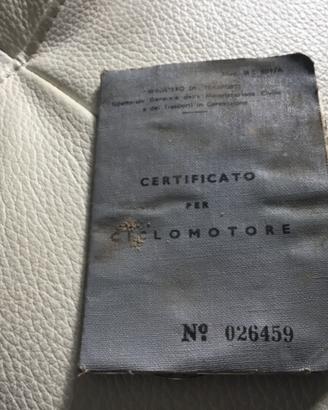 Certificato Mosquito