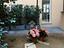 Immagine 12