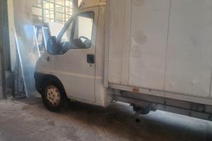 Ducato maxi cassonato in lega