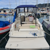 Regal 242