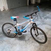 Bicicletta mountain bike