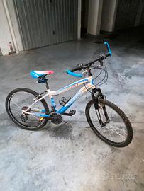 Bicicletta mountain bike