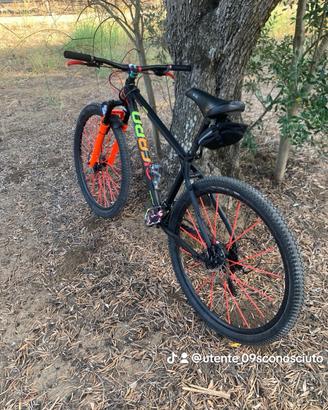 Bici icaro torpado
