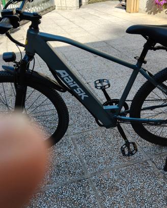 bici elettrica