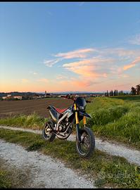 hm 50 (86)