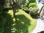 Immagine 12