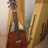 Acustica ibanez