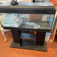 Acquario + mobile + accessori