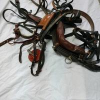 arnese completo per calesse cavallo di media statu