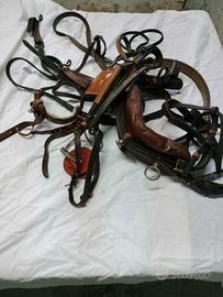 arnese completo per calesse cavallo di media statu