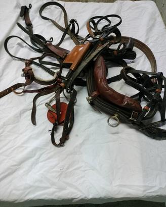 arnese completo per calesse cavallo di media statu