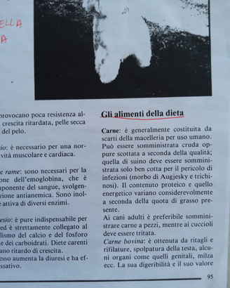 West Highland White Terrier alimenti della dieta