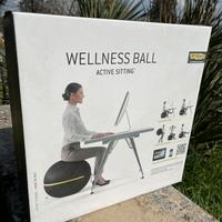 Technogym wellness ball