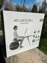 Technogym wellness ball