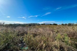 Terreno strada Vicinale Madonna dello Sterpeto