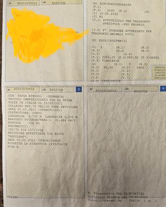 camion trasporto cavalli patente B