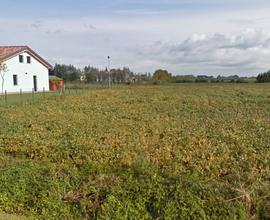 Terreno agricolo sempre coltivato e ben tenuto