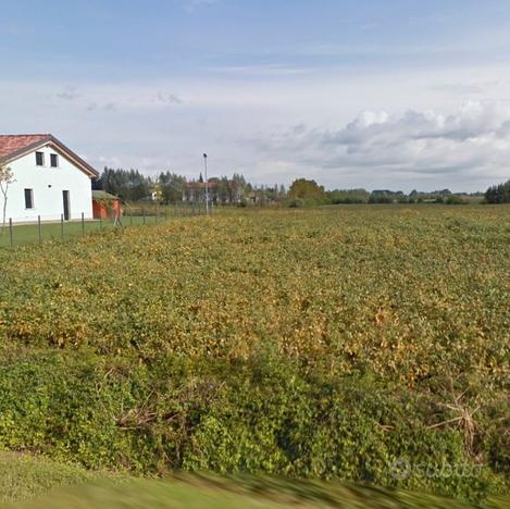 Terreno agricolo sempre coltivato e ben tenuto