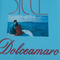 libro Dolceamaro di Danielle steel