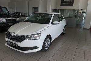 Skoda Fabia 5 Porte Fabia 1.0 mpi Business 75cv my